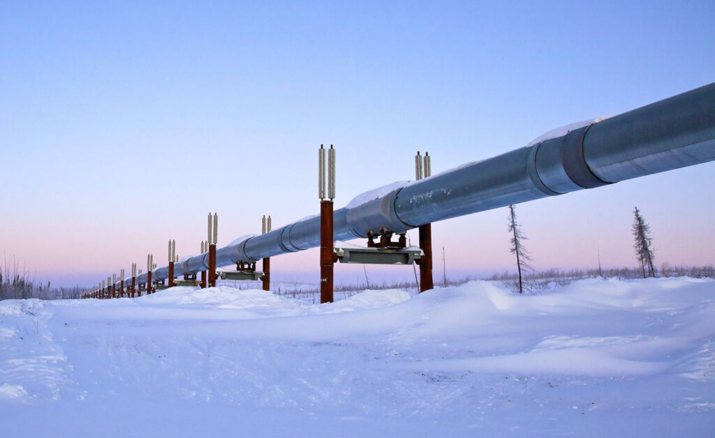 Contact The Brandon Skinner Group